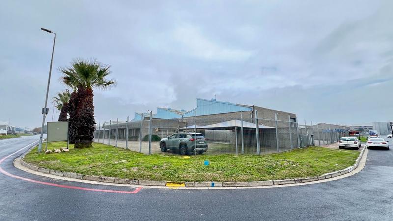To Let commercial Property for Rent in Montague Gardens Western Cape